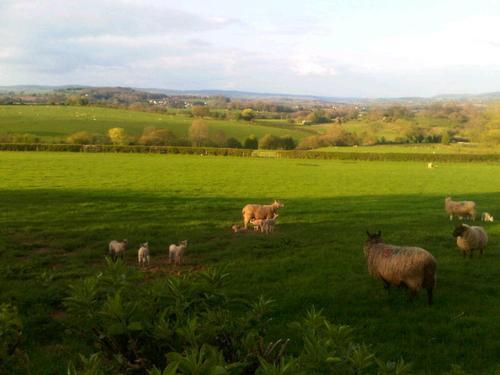 The Draen Bed And Breakfast Brecon Dış mekan fotoğraf